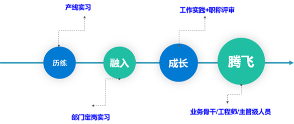 应届生专题培训